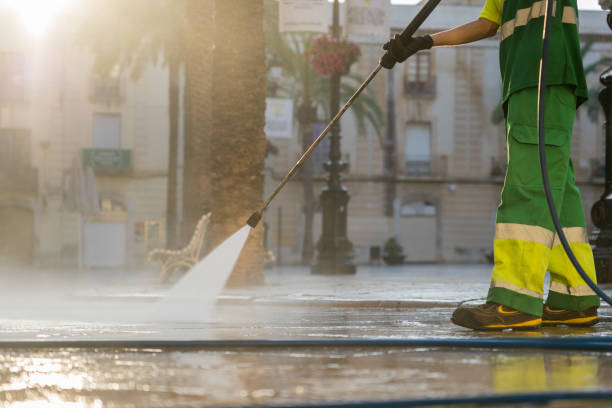 Best Gutter Cleaning  in Aviston, IL